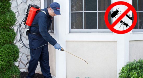 Hizan Hamam Böceği İlaçlama böcek ilaçlama ve haşere kontrolü — ilaclama-tr.com